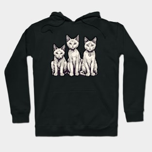 Three Cats Hoodie